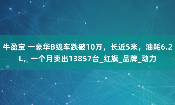 牛盈宝 一豪华B级车跌破10万，长近5米，油耗6.2L，一个月卖出13857台_红旗_品牌_动力