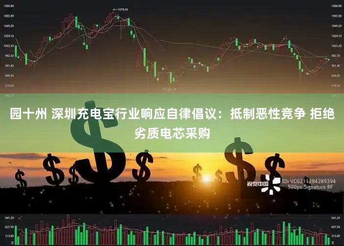 园十州 深圳充电宝行业响应自律倡议：抵制恶性竞争 拒绝劣质电芯采购