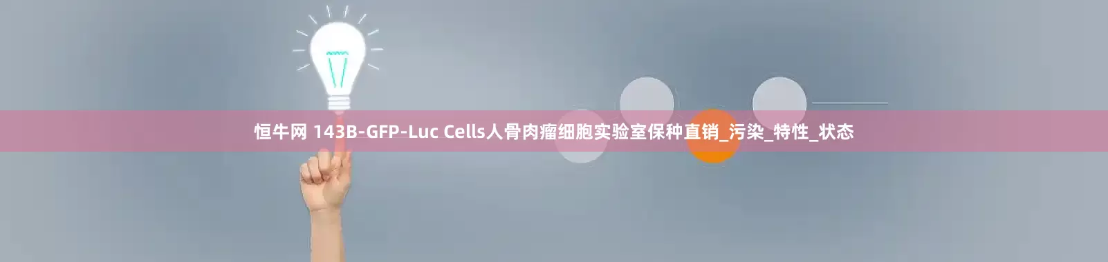 恒牛网 143B-GFP-Luc Cells人骨肉瘤细胞实验室保种直销_污染_特性_状态