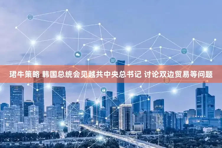 珺牛策略 韩国总统会见越共中央总书记 讨论双边贸易等问题