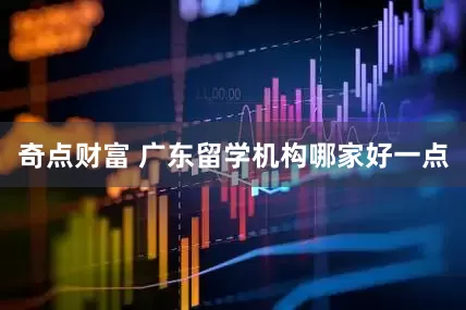 奇点财富 广东留学机构哪家好一点